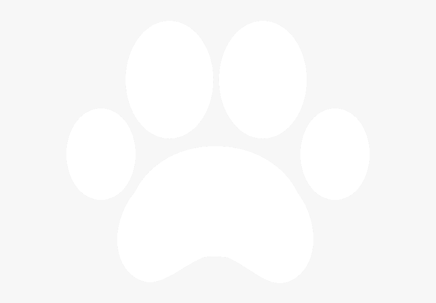 Evaluation And Letter $100 - Pegadas De Cachorro Branca, Transparent Clipart