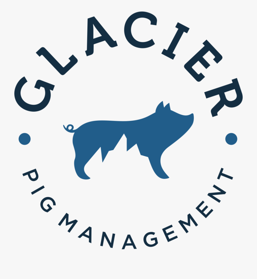 Logo 2 Png - 90 Days Money Back Guarantee, Transparent Clipart