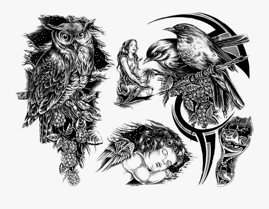 Owl Tattoo Design, Transparent Clipart