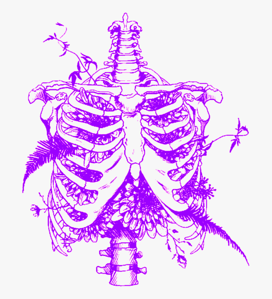 #aesthetic #skull #skeleton #ribcage #ribs #flowers - Illustration, Transparent Clipart