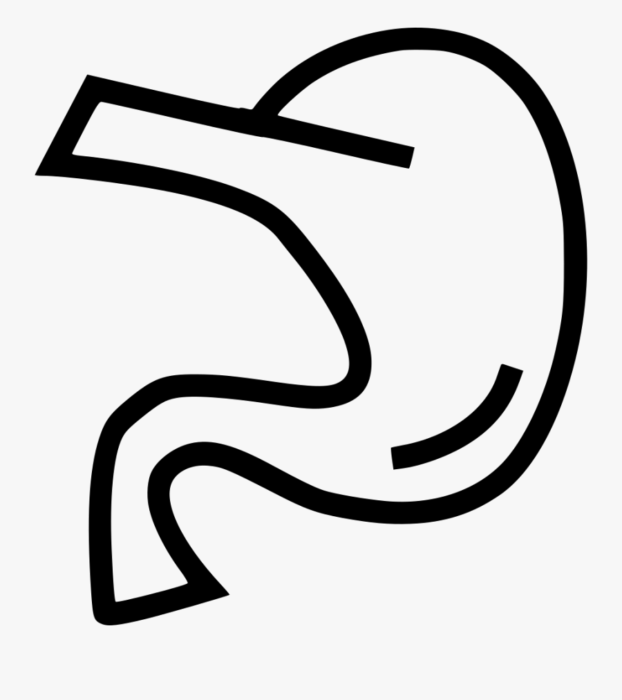 Pancreas Anatomy Organ - Drawing Body Part Stomach, Transparent Clipart