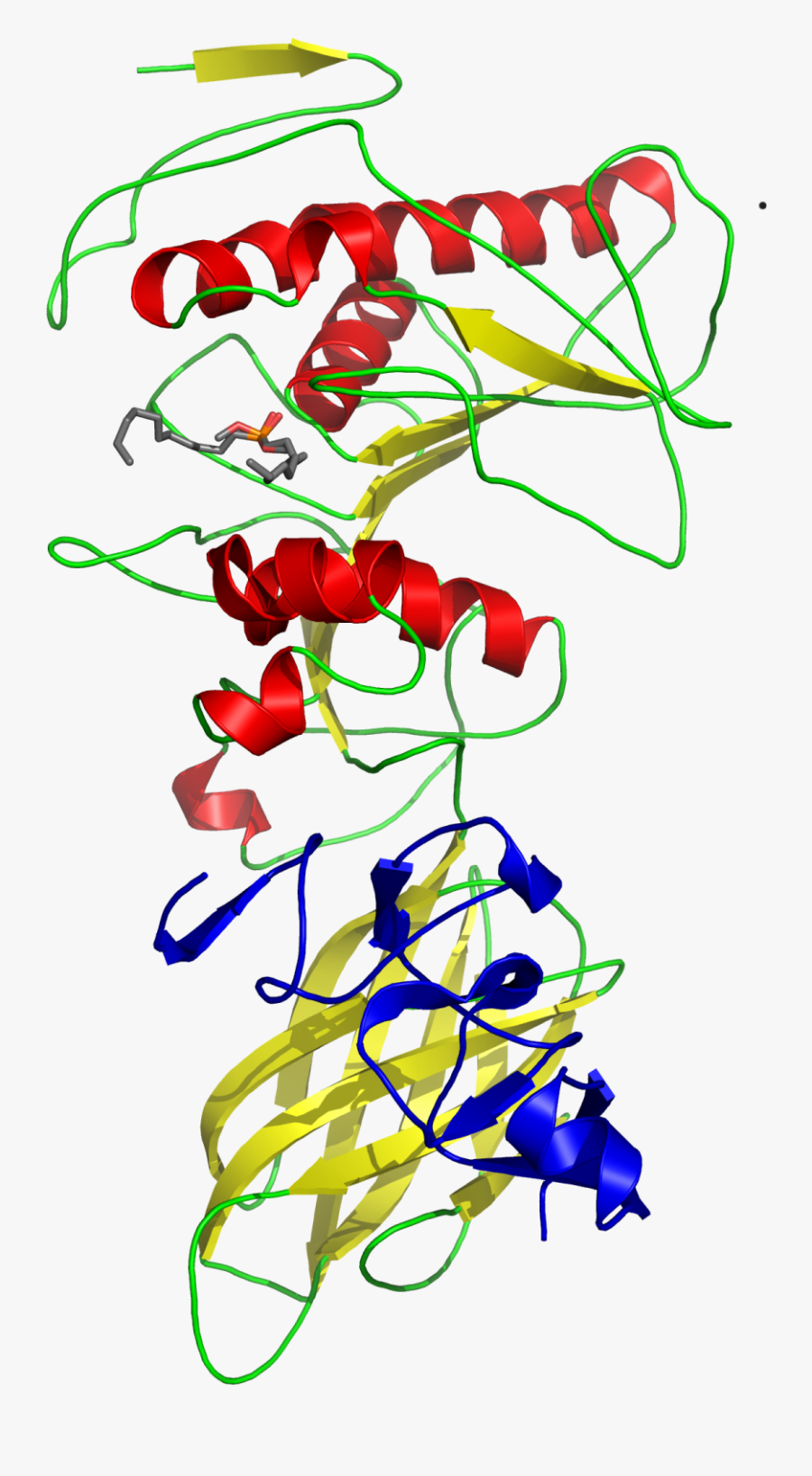 Pancreatic Lipase Colipase Complex With Inhibitor 1lpb Tertiary