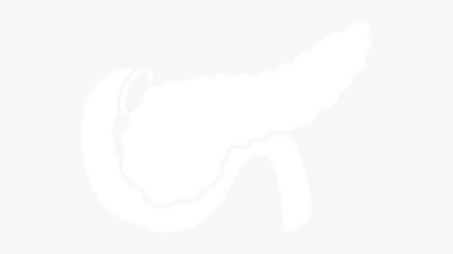 Picture3 - Illustration, Transparent Clipart