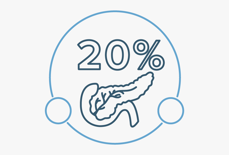 Circle, Transparent Clipart