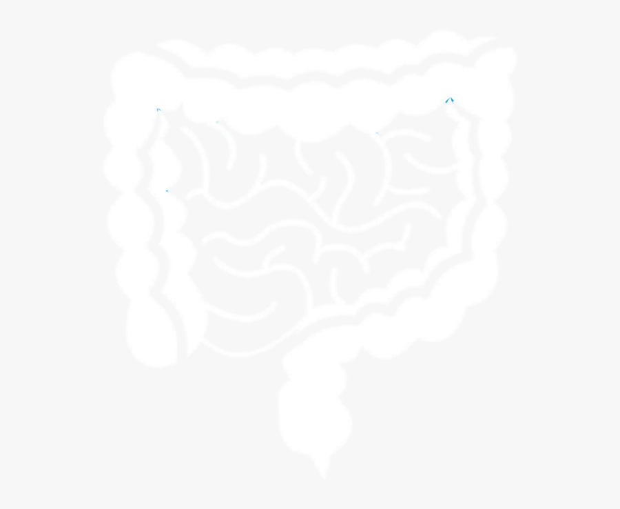 Picture5 - Intestino Icono, Transparent Clipart