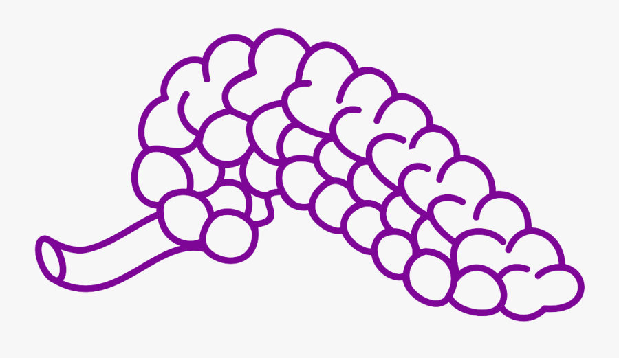 Prediabetes And Hormone Disruptors, Transparent Clipart