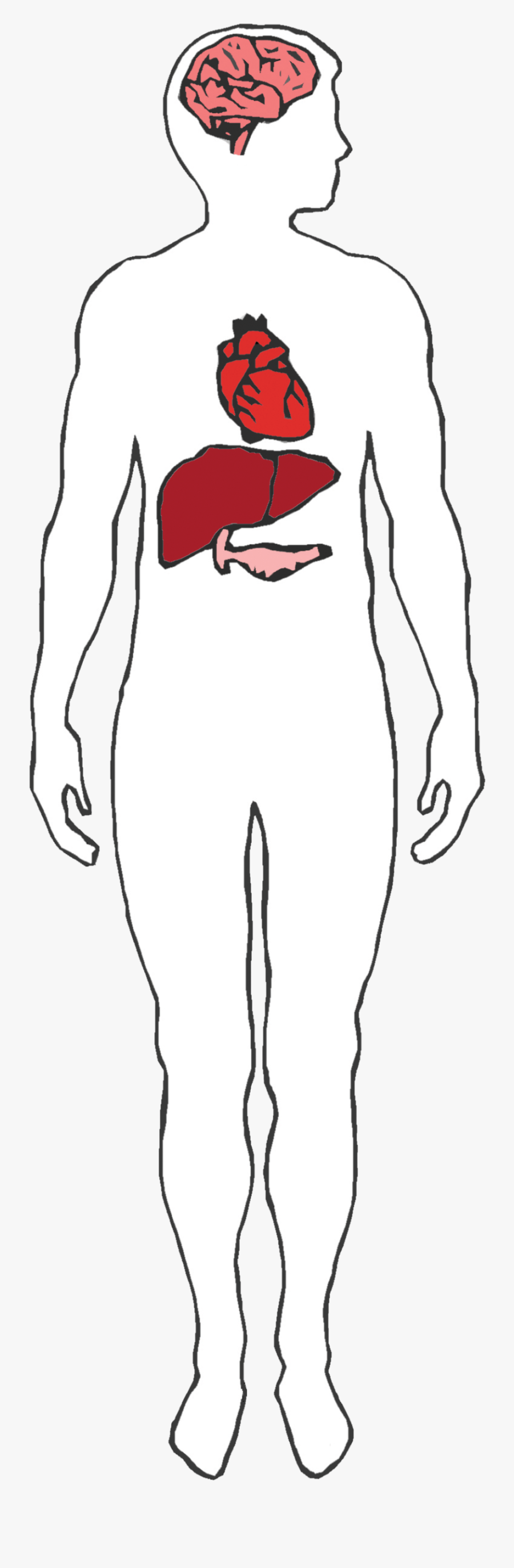 Illustration, Transparent Clipart