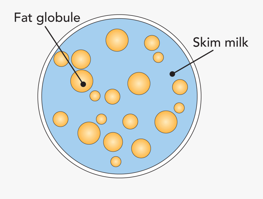 Fat Globule In Milk, Transparent Clipart