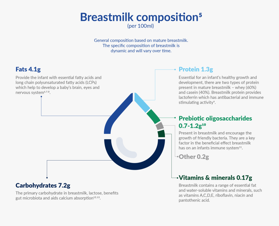 Composition Of Breast Milk, Transparent Clipart