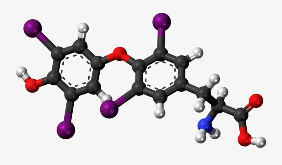 Hormones Clipart, Transparent Clipart