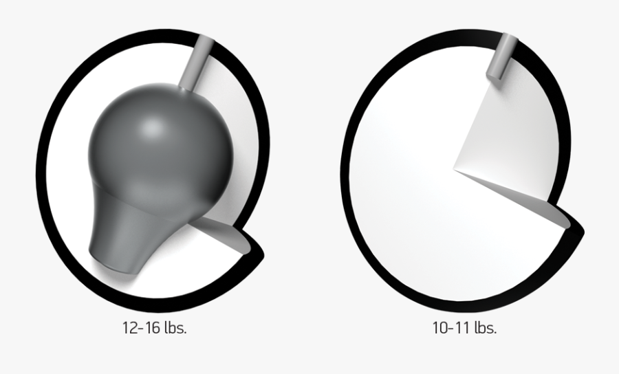 Circle, Transparent Clipart