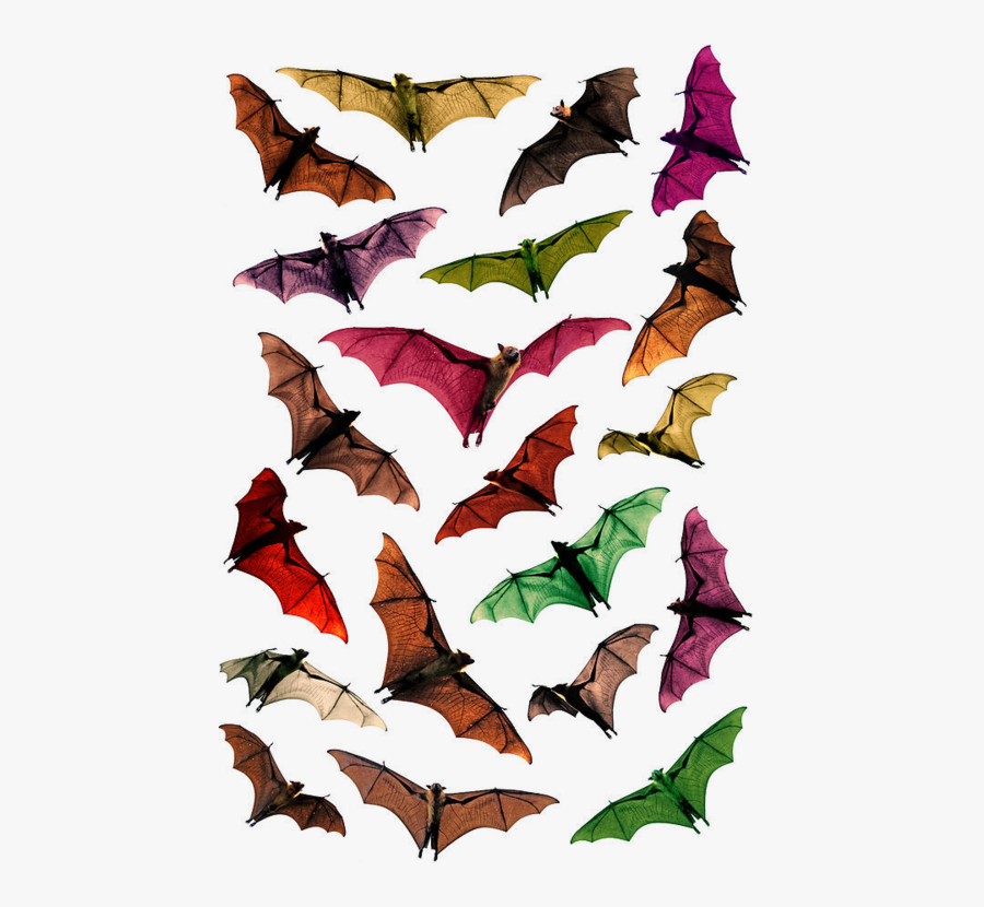 Sydney, Transparent Clipart