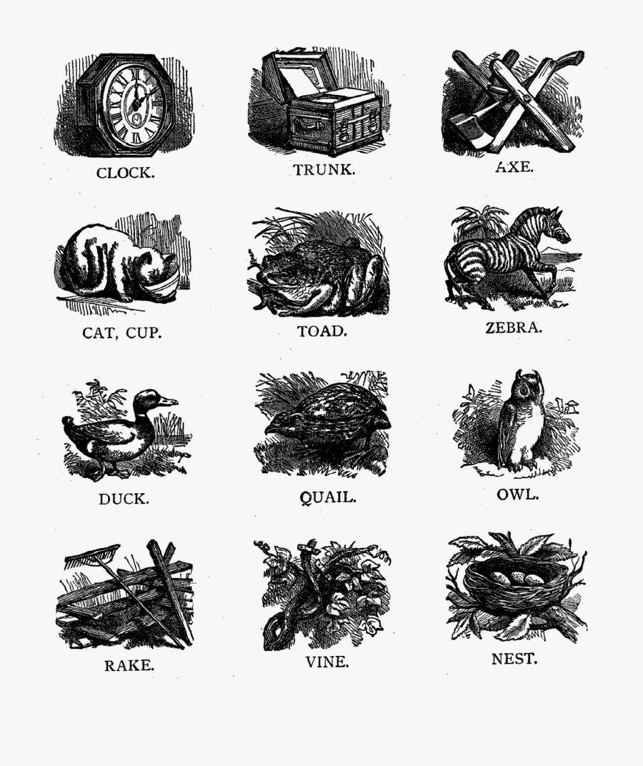 Sketch, Transparent Clipart