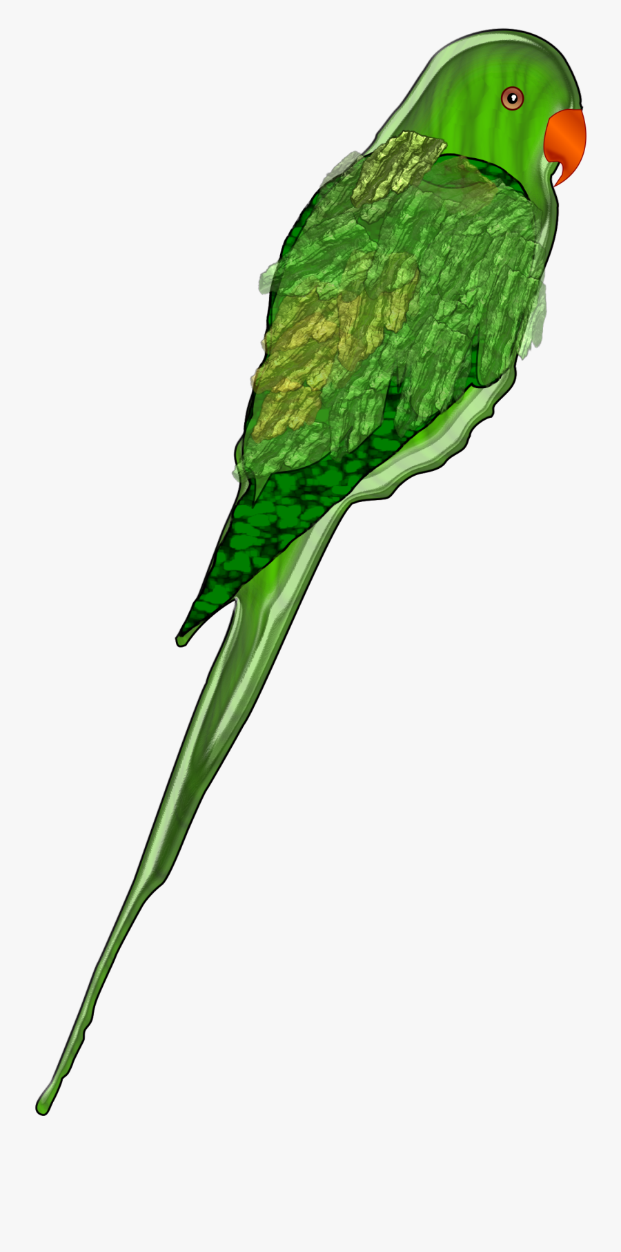 Parrot Png, Transparent Clipart