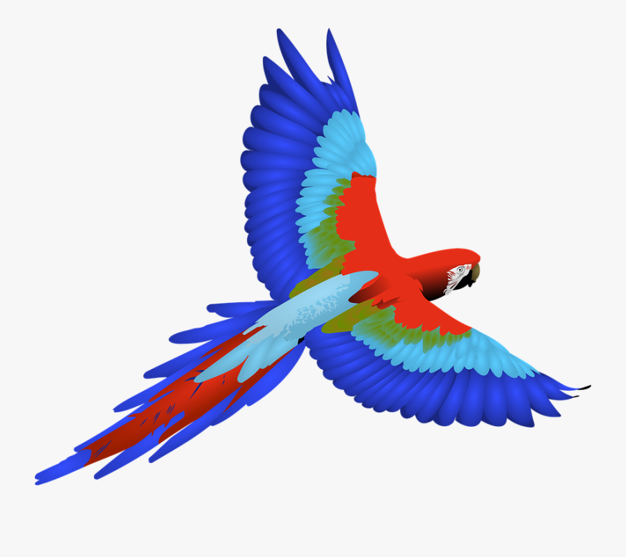 Parrot Clipart Cartoon - Macaw Clipart, Transparent Clipart