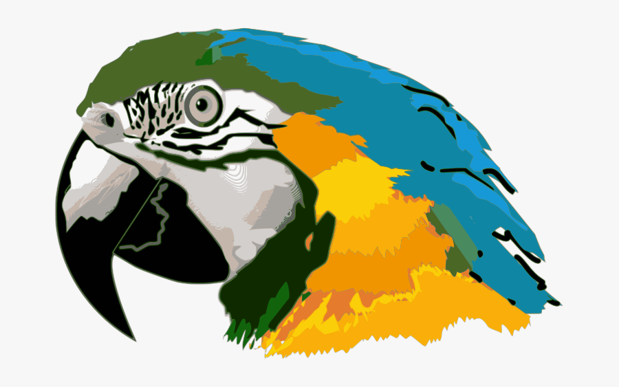 Blue Macaw Clipart - Parrot Head Clip Art, Transparent Clipart
