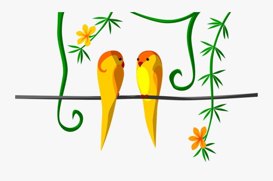 Parrot, Couple, Jungle, Tropical, Orange, Bright - Budgie, Transparent Clipart