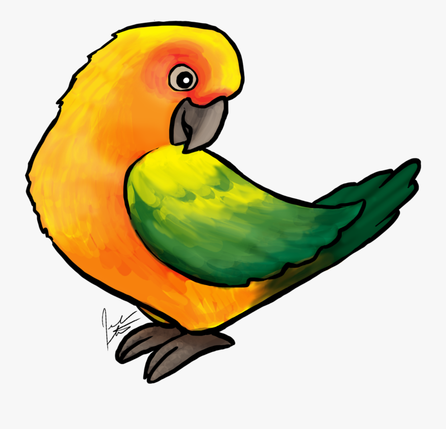 Jen’s Dogs Has Posted It’s First Bird Art The Sun Conure - Budgie, Transparent Clipart