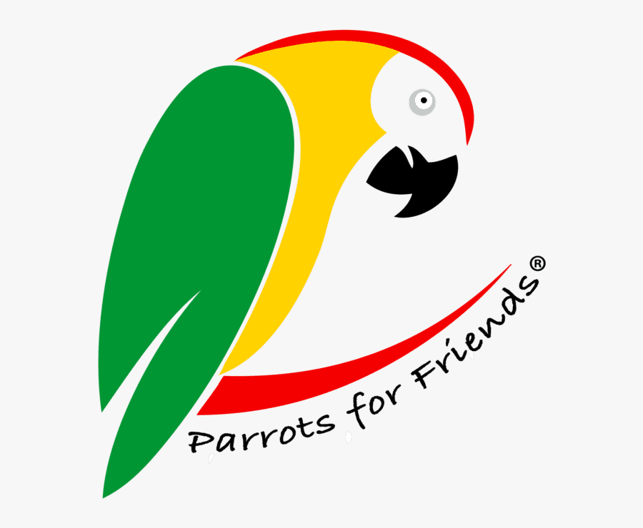 Transparent Parrot Logo Png, Transparent Clipart