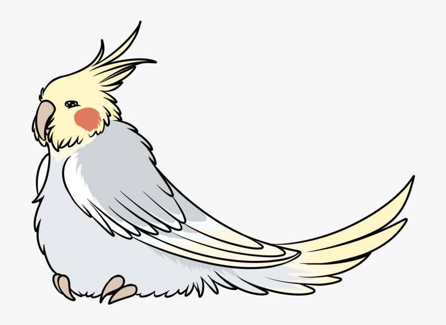 Clip Art Cockatiel Gif Bird Chicken - Cockatiel Gif Transparent, Transparent Clipart