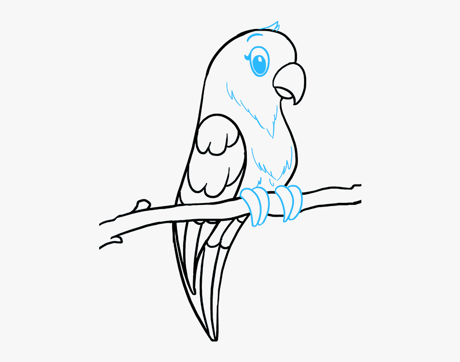How To Draw Parrot - Parrot Easy To Draw, Transparent Clipart