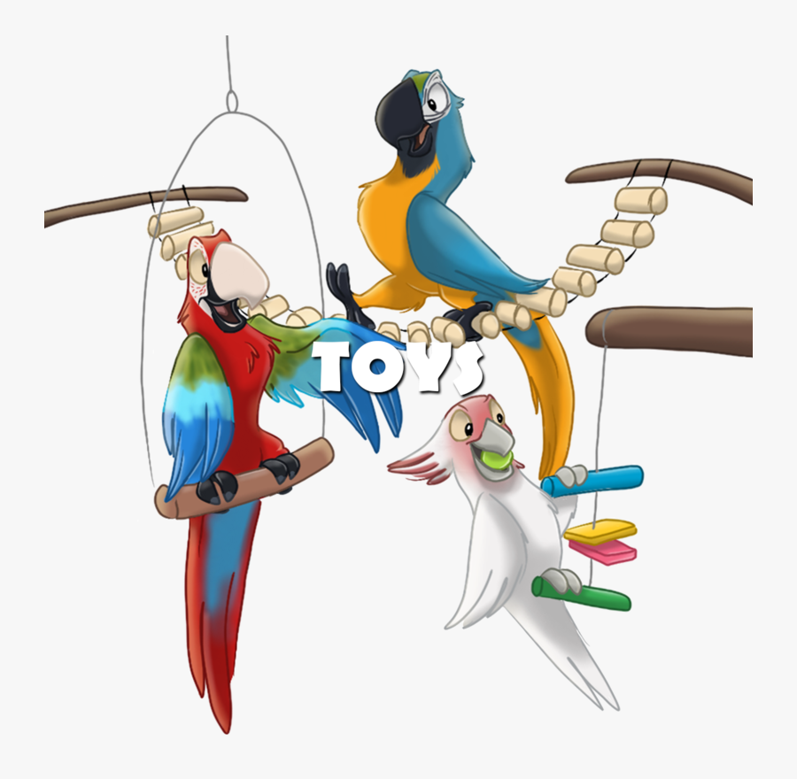 Budgie, Transparent Clipart