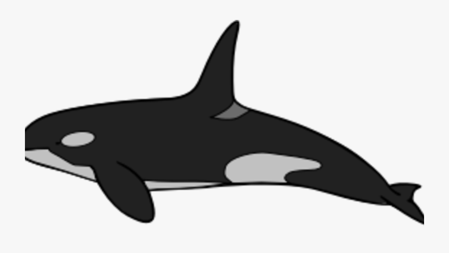 Frightening Shamu Clipart Whale Coloring Book Killer - Killer Whale, Transparent Clipart