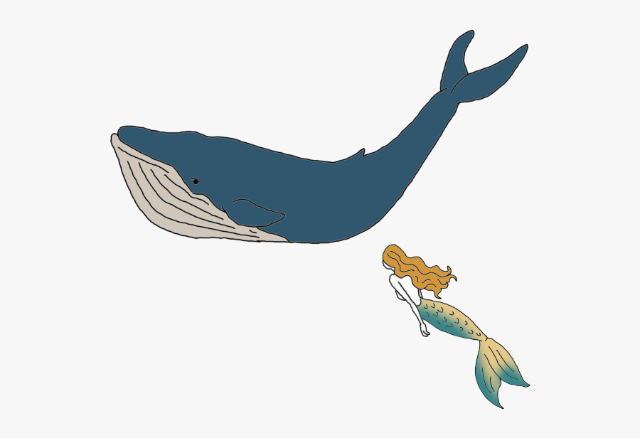 Whale - Blue Whale, Transparent Clipart