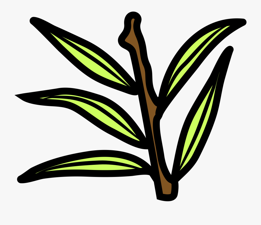 Clip Art, Transparent Clipart