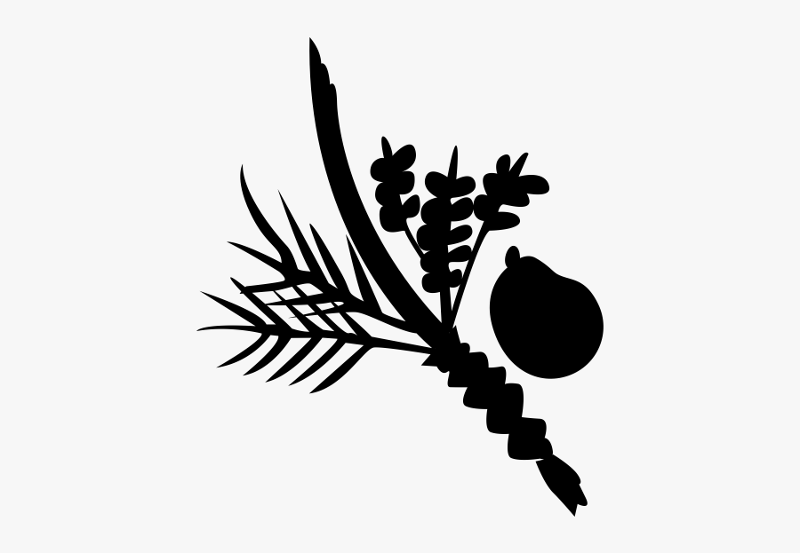 Lulav - Sukkot Clipart, Transparent Clipart