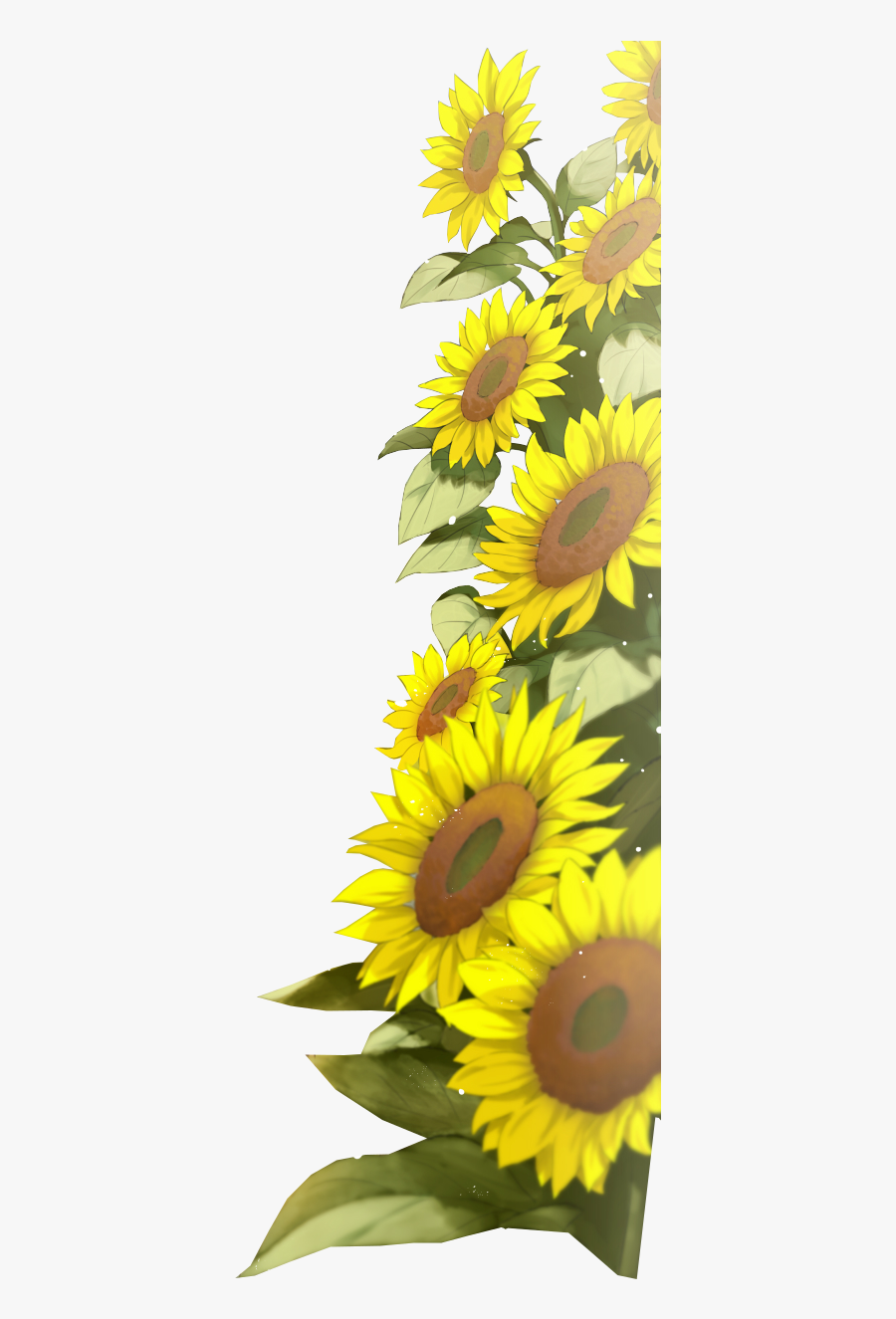 Transparent Background Frame Sunflower Border, Transparent Clipart