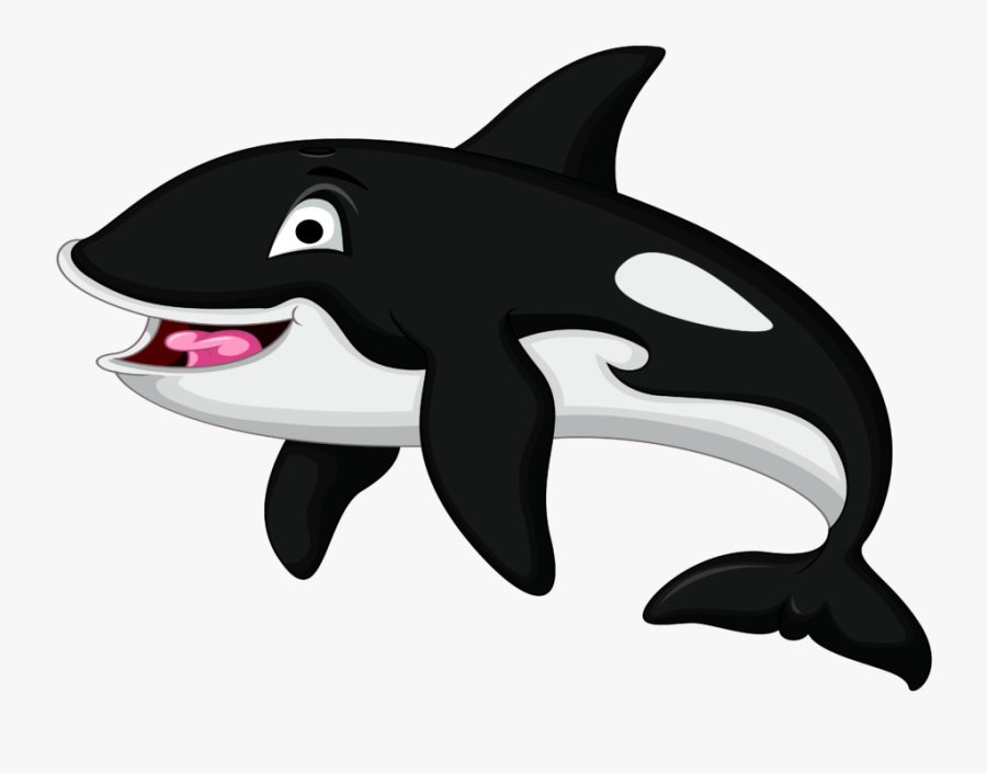 Killer Whale, Transparent Clipart