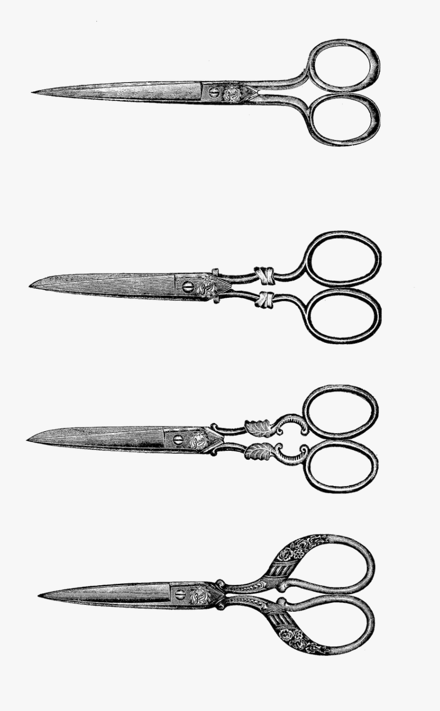 Sketch, Transparent Clipart