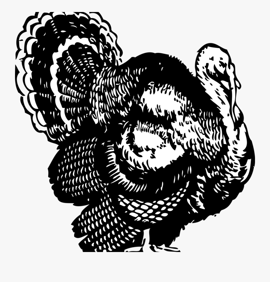 Shoot Em In The Pecker Shirt, Transparent Clipart