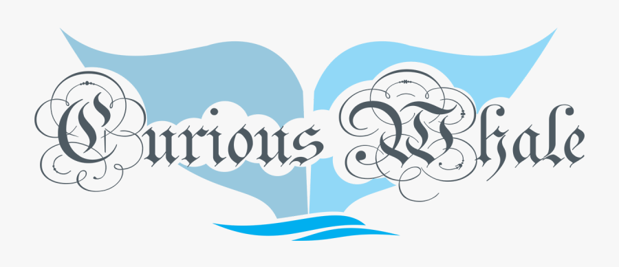 Curious Whale - Illustration - Illustration, Transparent Clipart