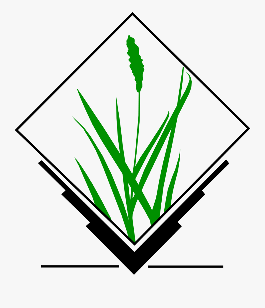 Grass Gis, Transparent Clipart