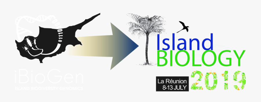 Graphic Design, Transparent Clipart