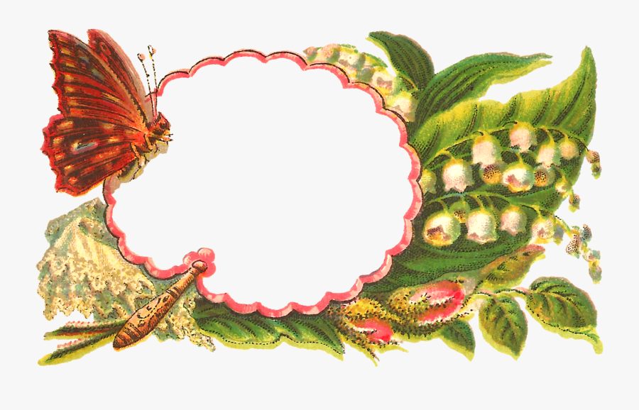 Illustration, Transparent Clipart