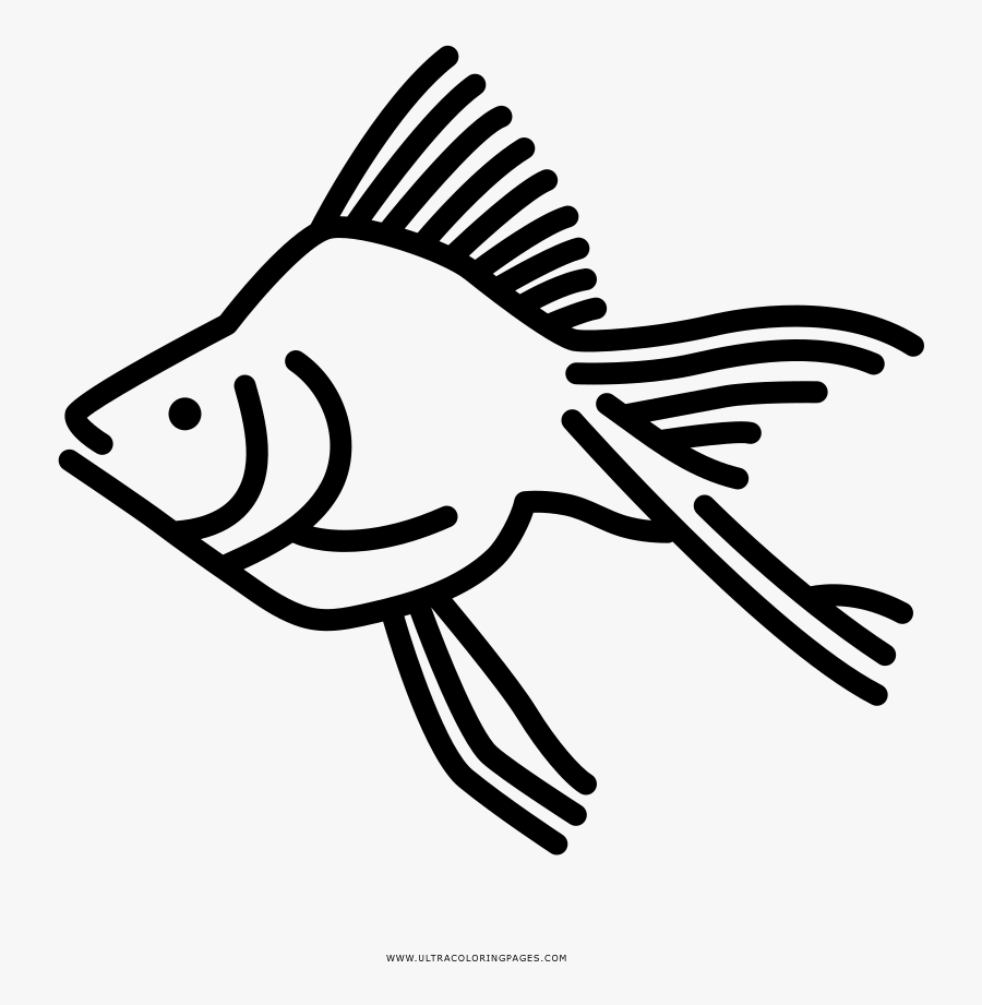 Goldfish Coloring Page - Drawing, Transparent Clipart