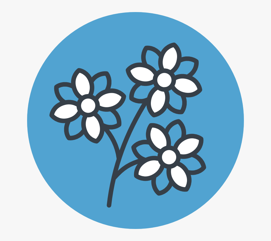 Circle, Transparent Clipart