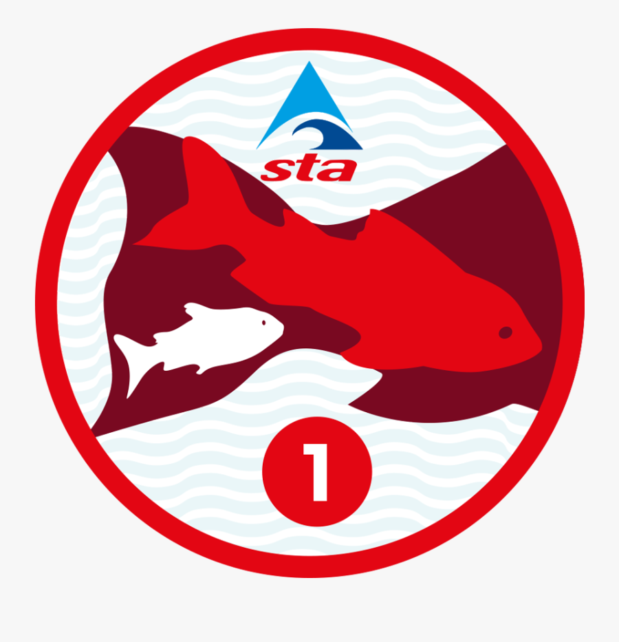 Circle, Transparent Clipart