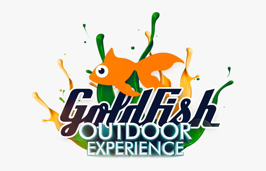 Goldfish, Transparent Clipart