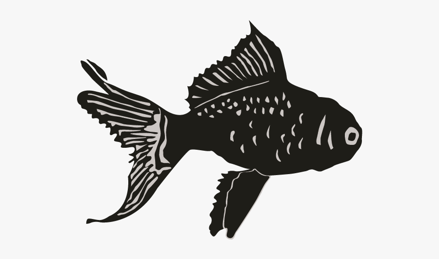 Vertebrate Animals Fish, Transparent Clipart