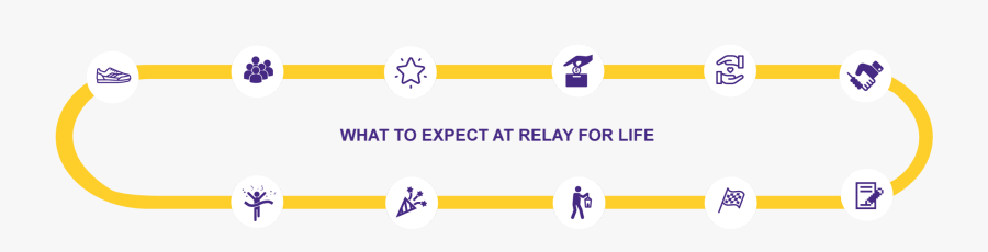 Circle, Transparent Clipart