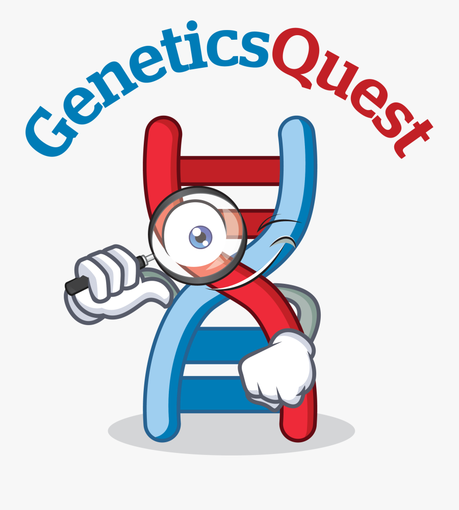 Sweet Cake Shop Hd Clipart , Png Download - St Joseph's Hospital Foyer D Youville Logo, Transparent Clipart