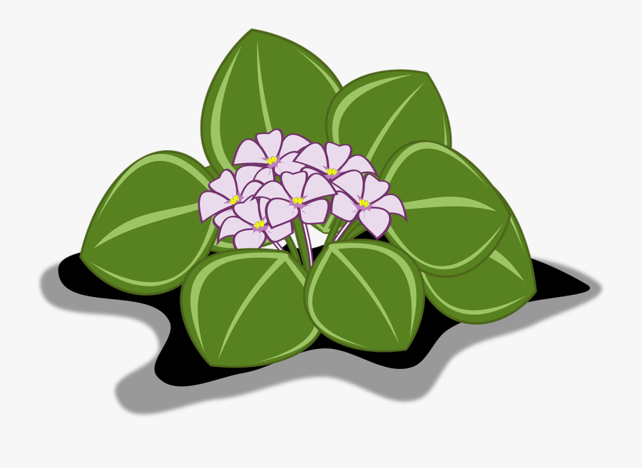 African Violet Clip Art Flor Free Picture - Hoa Violet African, Transparent Clipart