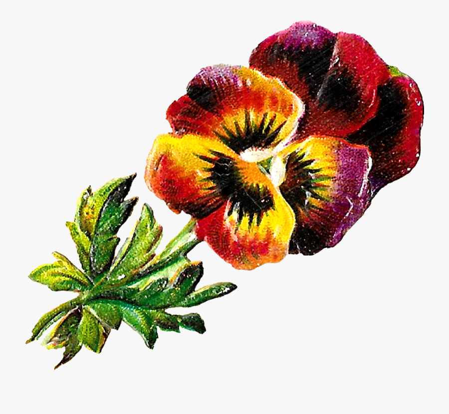 Clip Art, Transparent Clipart