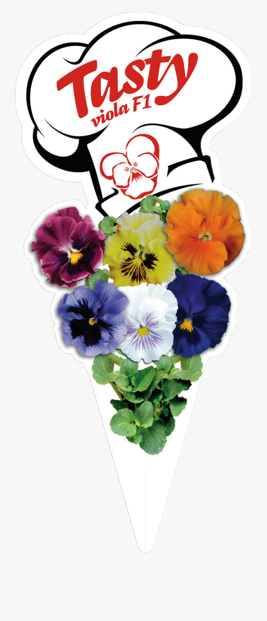 Click To Enlarge Image 5 V Copyright Marda - Pansy, Transparent Clipart