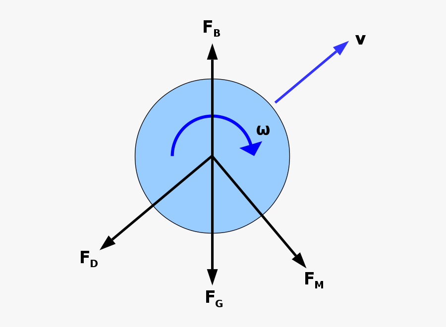 Portable Network Graphics, Transparent Clipart
