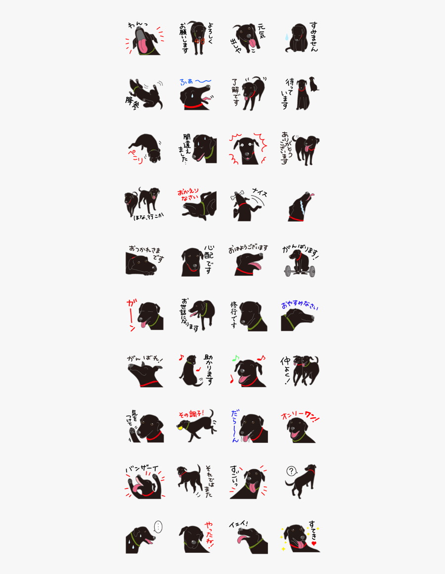 Shion & Sakura-black Labrador Retrievers, Transparent Clipart